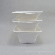 environmental friendly bagass paper square food box food bowl